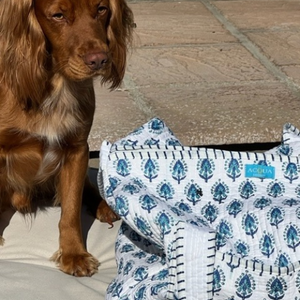 Weekend/Beach bag