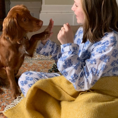 Elephant print pyjamas