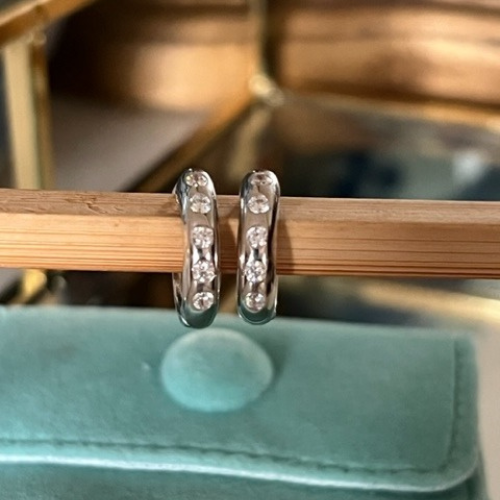 Eternity Hoops (sterling silver)