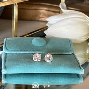 Eternity Studs (gold plated)