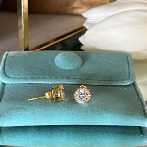 Eternity Studs (gold plated)